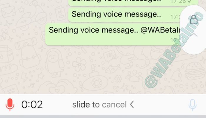 WhatsApp WhatsApp rivoluziona i messaggi vocali - immagine 3