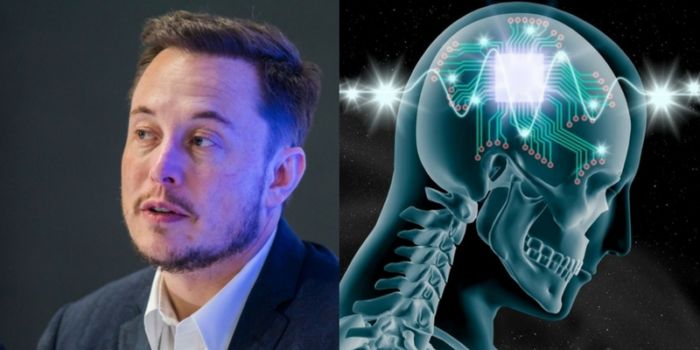 Neuralink: uomo e macchina connessi con il pensiero, ecco come funziona