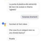 Google Assistant