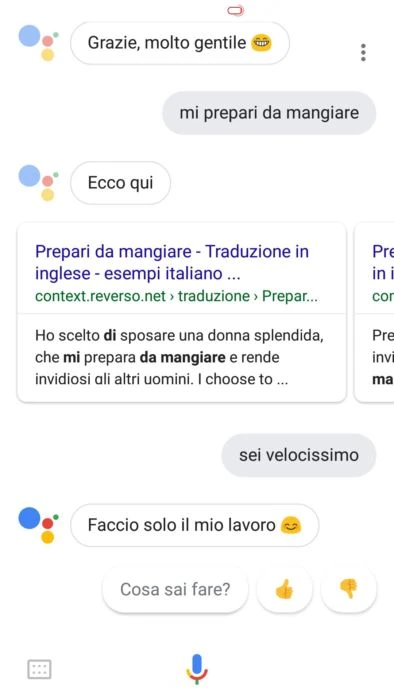 Screenshot_2017-11-15-12-48-03-421_com.google.android.googlequicksearchbox Google Assistant