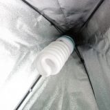 Softbox ESDDI