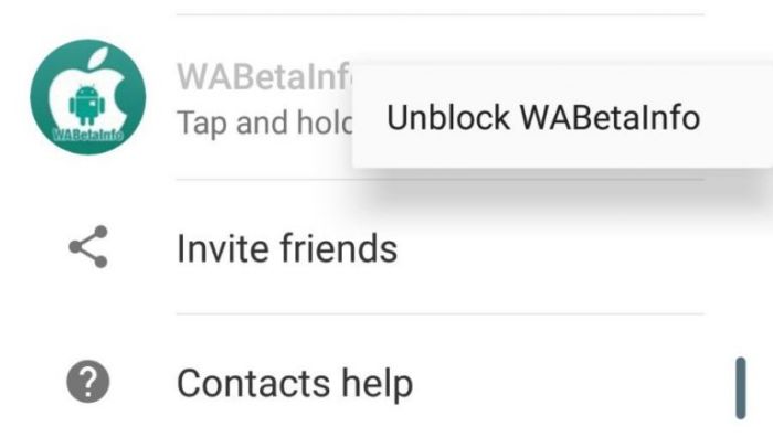 WhatsApp si aggiorna alle versioni 2.17.434, 2.17.436 e 2.17.437 portando diverse novità