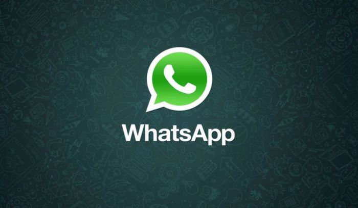 Whatsapp: arriva l'aggiornamento 2.17.430 con diverse novità per i gruppi
