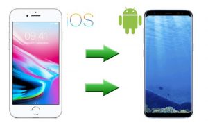 Ecco come trasferire i contatti da iOS ad Android