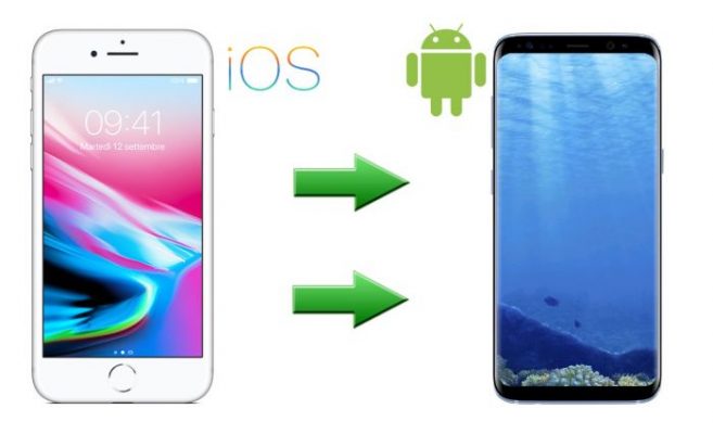 Ecco come trasferire i contatti da iOS ad Android