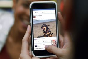 News Feed