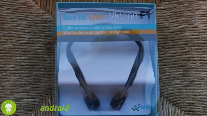 P1170300 Vidonn F1