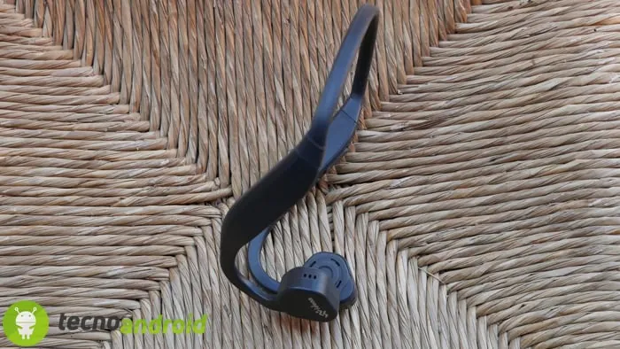 P1170311 Vidonn F1