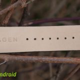 Skagen Falster
