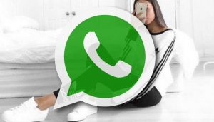 whatsapp adidas