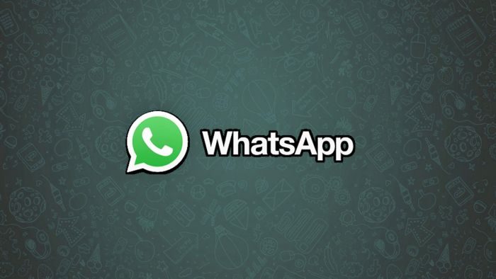 WhatsApp cambia ufficialmente, 2 novità nel nuovo aggiornamento di Febbraio