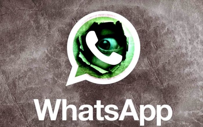 WhatsApp: ecco il metodo segreto per entrare nella chat senza essere visti Online