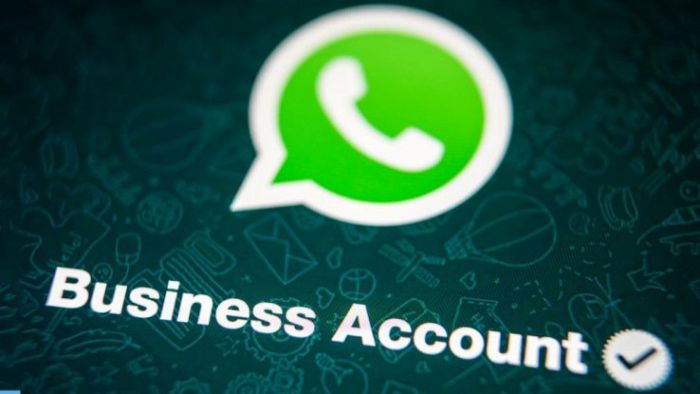 whatsapp-business-account