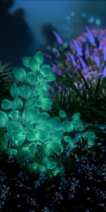 Huawei P20 sfondo mare Huawei P20 sfondo mare