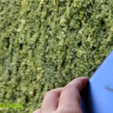 Gigaset GS370 Plus