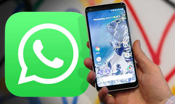WhatsApp, un fantastico aggiornamento (ma disponibile solo su questo smartphone)