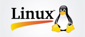 Windows 10 Kali Linux