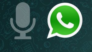 messaggi vocali Whatsapp problemi Nexus 5X
