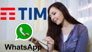 tim whatsapp