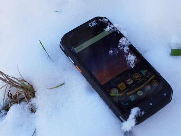 CAT S31