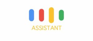 Google Assistant Ricerca Vocale