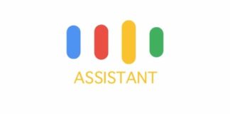 Google Assistant Ricerca Vocale