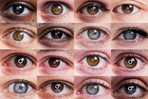 Intelligenza Artificiale, un software aiuterà le diagnosi dei medici