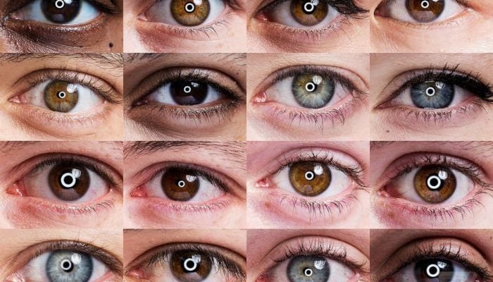 Intelligenza Artificiale, un software aiuterà le diagnosi dei medici