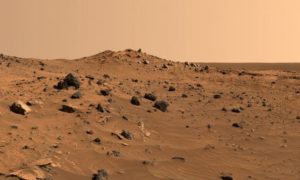 La NASA vuole usare delle speciali Api per esplorare il pianeta rosso