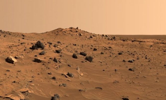 La NASA vuole usare delle speciali Api per esplorare il pianeta rosso