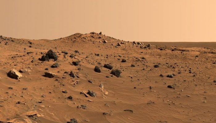 La NASA vuole usare delle speciali Api per esplorare il pianeta rosso