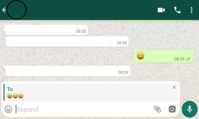 Quote messaggio Whatsapp
