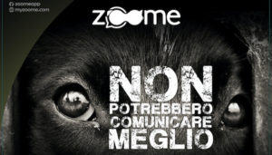 Zoome