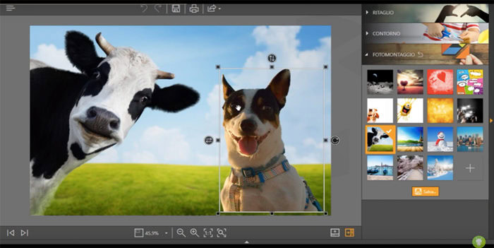 Fotophire