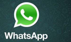 WhatsApp, aggiornamento richiesta dati: scopri come funzionerà lo strumento