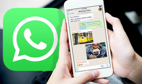 WhatsApp ha la vita dei giovani di oggi in un palmo di mano