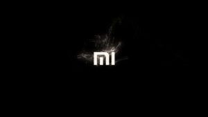 Xiaomi micredit prestiti denaro