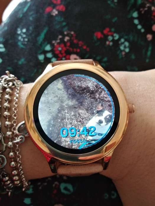 Fossil Q Venture