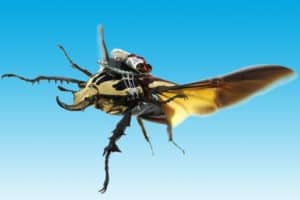 scarabeo cyborg