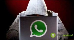 truffe whatsapp