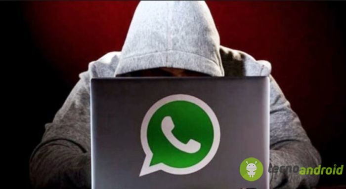 truffe whatsapp