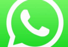 WhatsApp: l'aggiornamento porta una novità che gli utenti non volevano