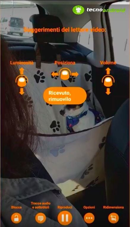 VLC Media Player