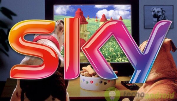 Sky