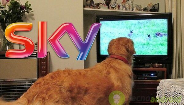Sky