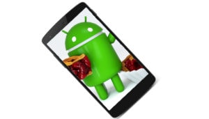 Nexus 5 con Android 9 Pie