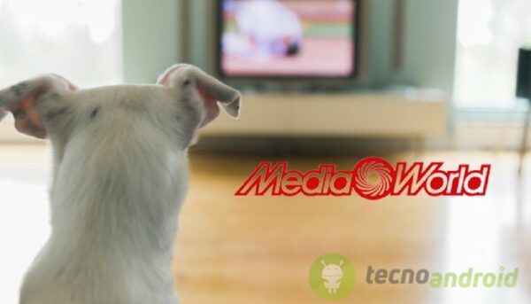 MediaWorld