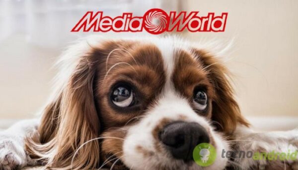 MediaWorld