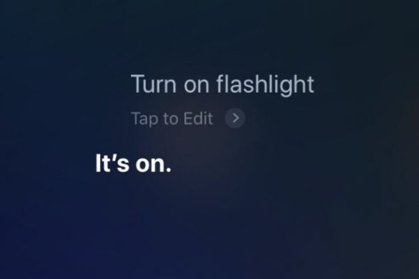accendere torcia iPhone voce iOS 12