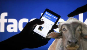 facebook bufala